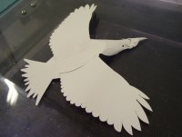 雷射加工動畫--老鷹形狀 雷射加工動畫--老鷹形狀