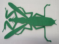 螳螂紙雕 螳螂紙雕