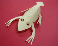 雷射切割--青蛙紙雕 雷射切割--青蛙紙雕